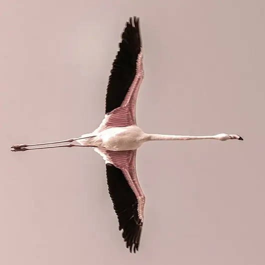 Exposition : Zénitude Crépusculaire - Une exposition de Frank Follet_Arles