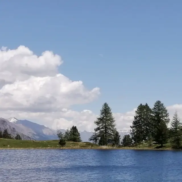 Randonnée aux lacs et tourbière du Col bas_Seyne