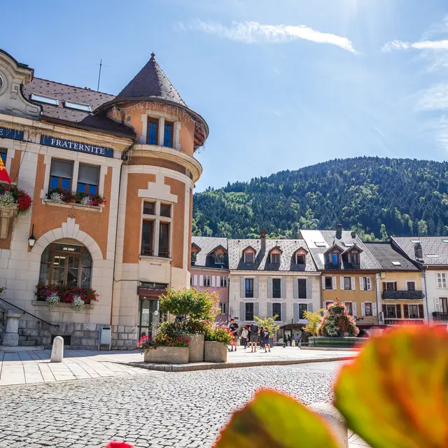 Collection de Cols Alpins_centre-ville de Thônes