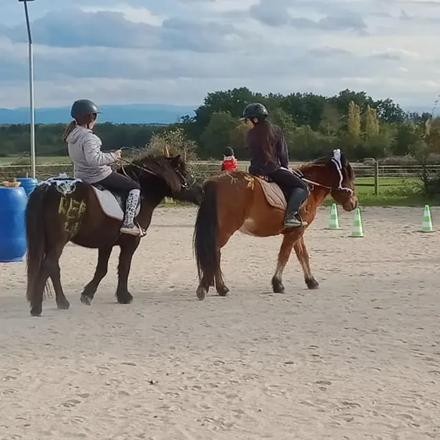 Les chevaux de la plaine
