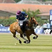 Haras de Gassin - La saga challenge_Gassin