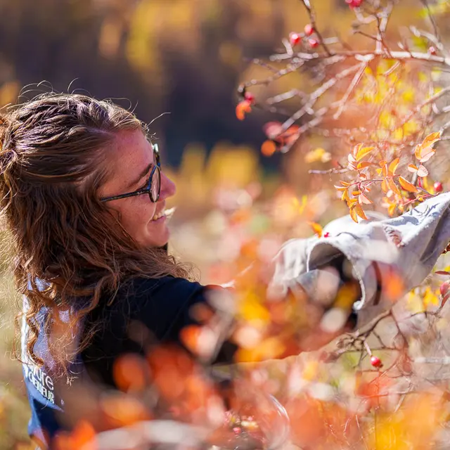 Atelier cueillette et découverte des secrets de la fabrication arisanale à base de plantes_Château-Ville-Vieille