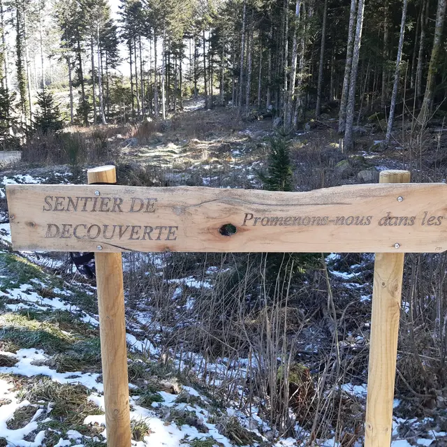 Sentier thématique Promenons-nous dans les bois