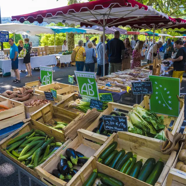 Le train des Marchés_Anduze
