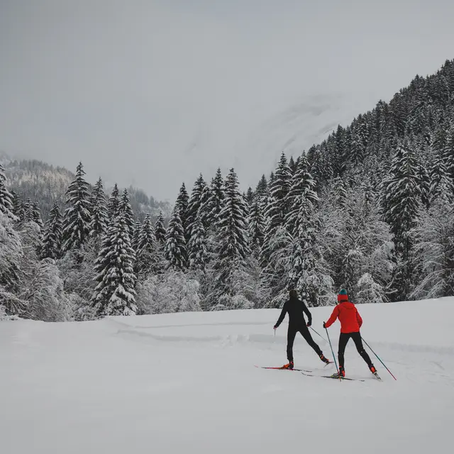deux personnes qui font du ski de fond dans la Vallée de la Manche