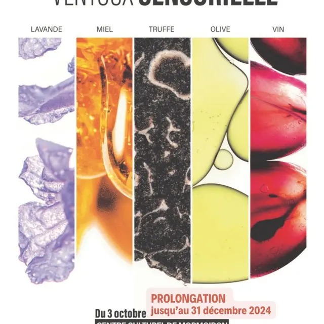 Exposition Ventoux sensorielle_Mormoiron