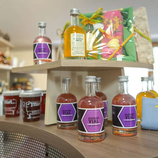 Sirop de Violette MDL