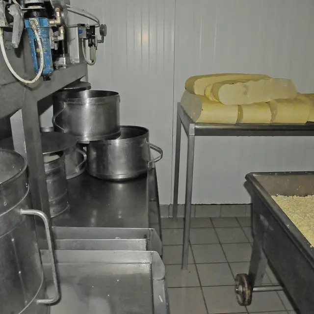 Visite de la fabrication du fromage au Gaec Prunet_Pailherols