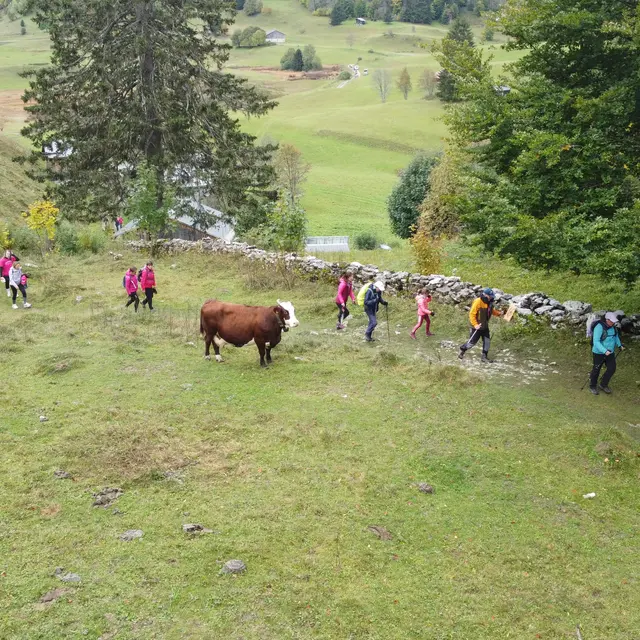Photo marche