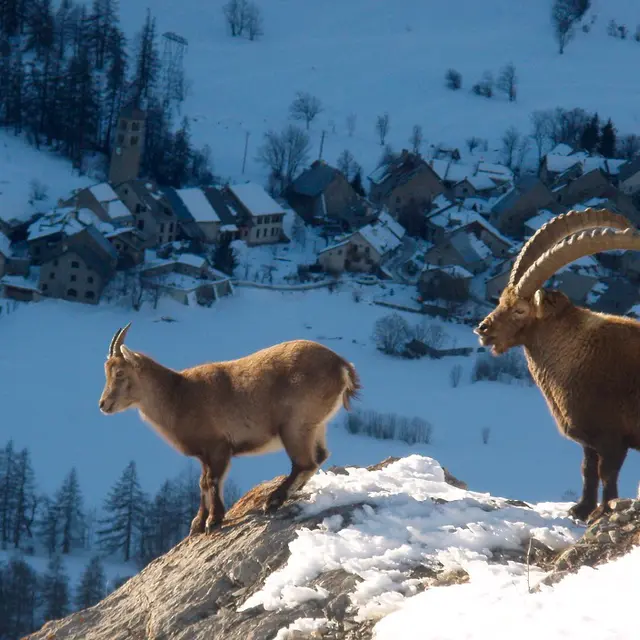 Bureau des Guides et Accompagnateurs de Serre Chevalier