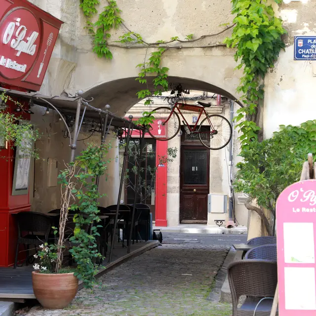 O' Papilles_Avignon