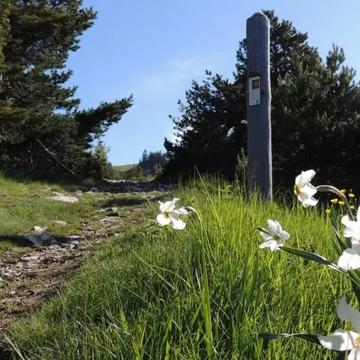 sentier des planètes