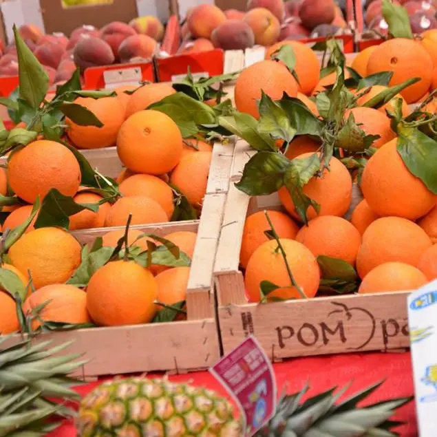 Foire mensuelle_Laguépie