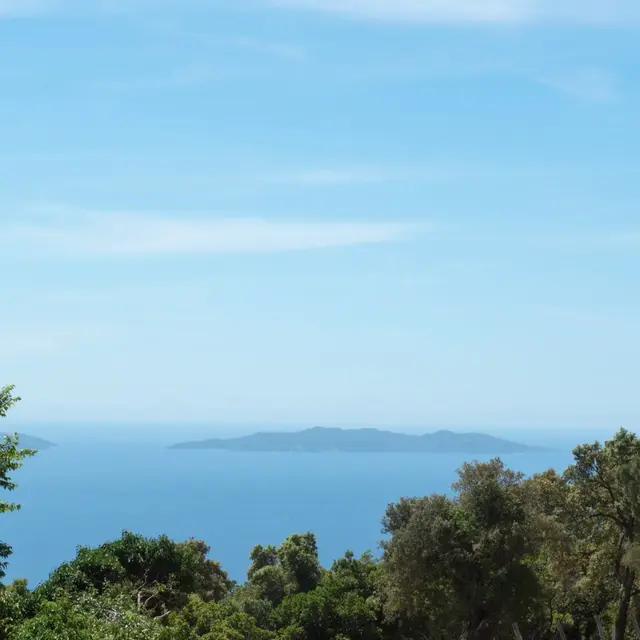 Le Relais du Vieux Sauvaire - Villa T4 Le Grand Chêne_Le Lavandou