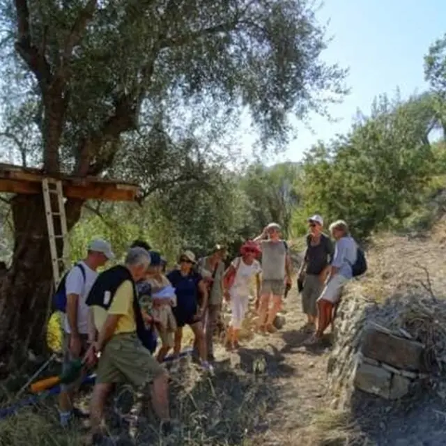 92ème Fête du Citron®  - Excursion sur coteau terrassé et captages d'eau traditionnels