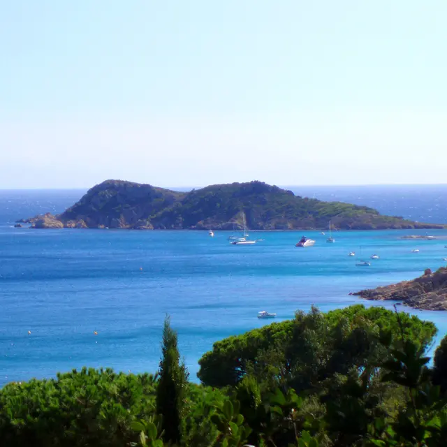 Sortie Nature & Exposition_Ramatuelle