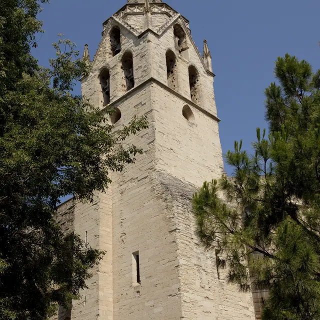 Collégiale Saint Didier