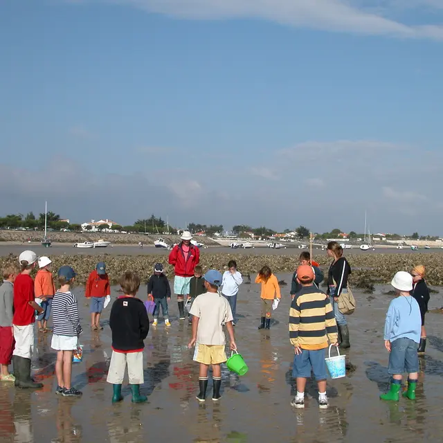 Pêche à pied