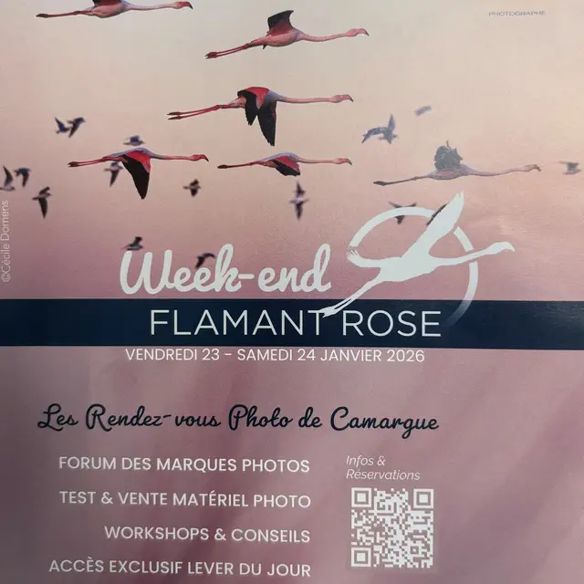 Week-end Flamant Rose au Parc Ornithologique_Saintes-Maries-de-la-Mer