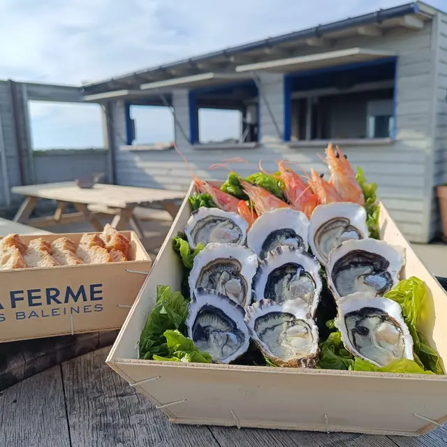 Huîtres et crevettes de la Ferme des Baleines