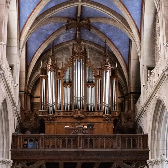 Les orgues de la Cathédrale