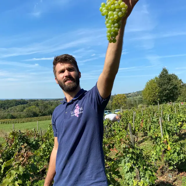 Vendanges 2024