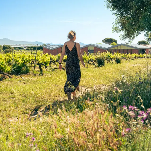 Immersion dans un domaine solidaire et engagé_Puget-sur-Argens