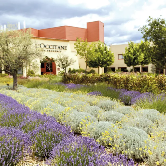 Jardin de L'Occitane en Provence