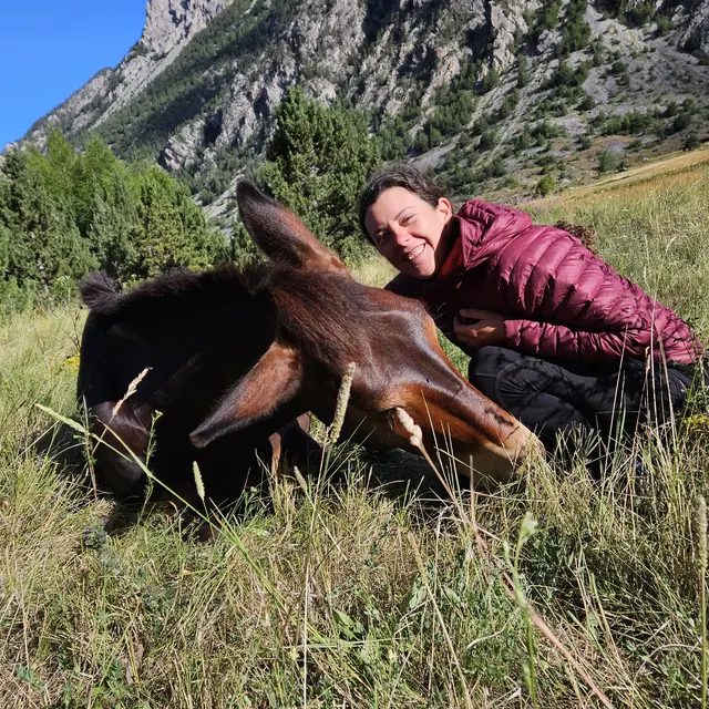 Les écuries d'Aloha_Neffes