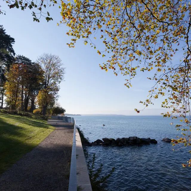 Parc de Corzent