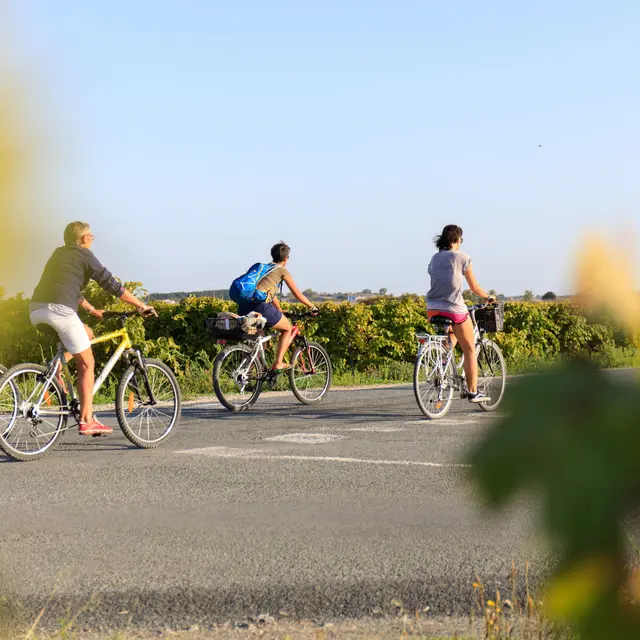 Vignes La Couarde