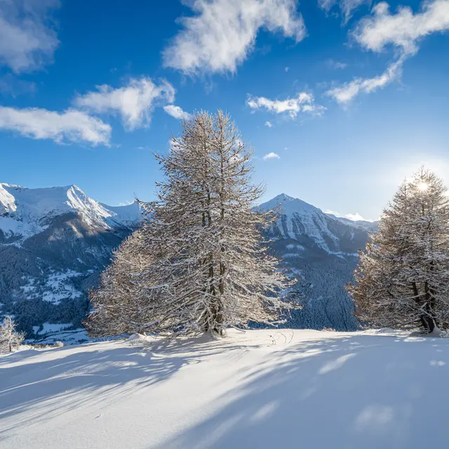Le Clot Aumaillé à Orcières