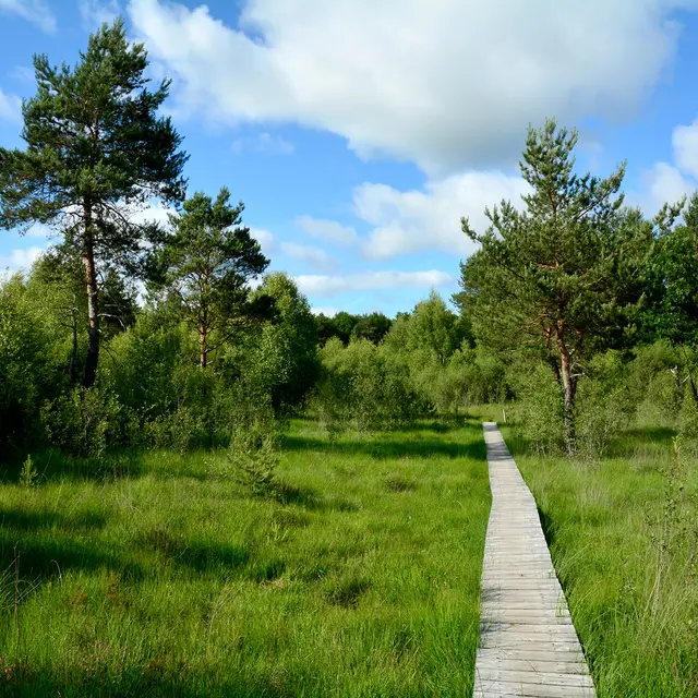Le marais de Cassan