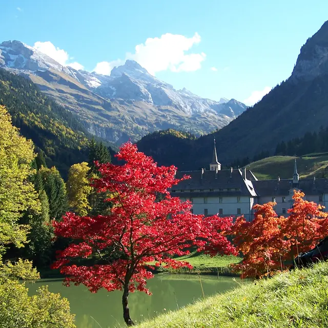 Carmel du Reposoir