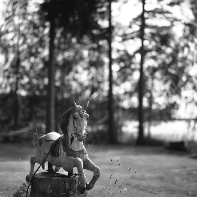 Ticket non remboursable_Marseille