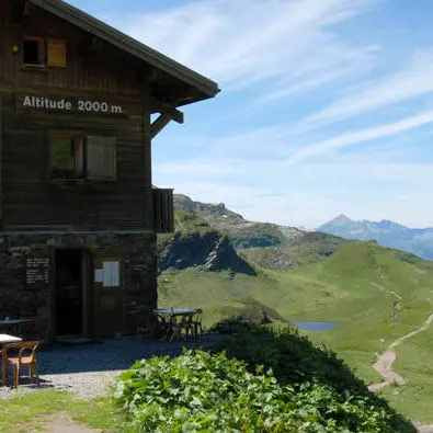 refuge de moede