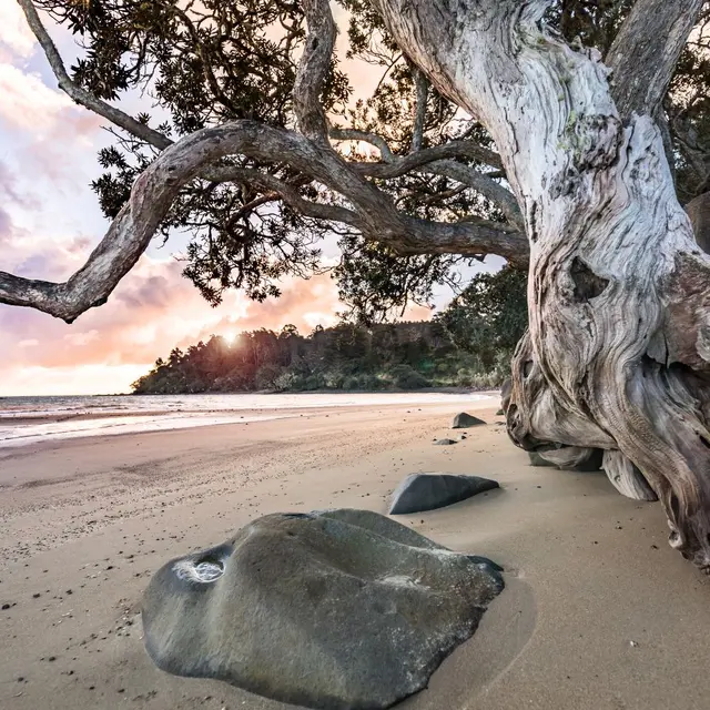 Exposition photographie - Thierry Pouget_Bormes-les-Mimosas