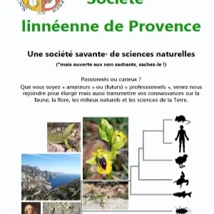 Société Linéenne de Provence
