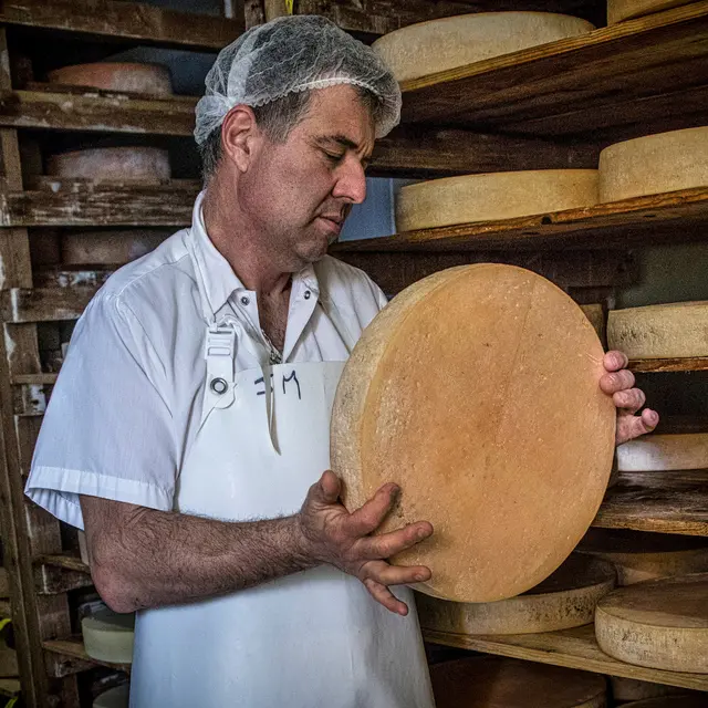 Laiterie du Col Bayard_Laye