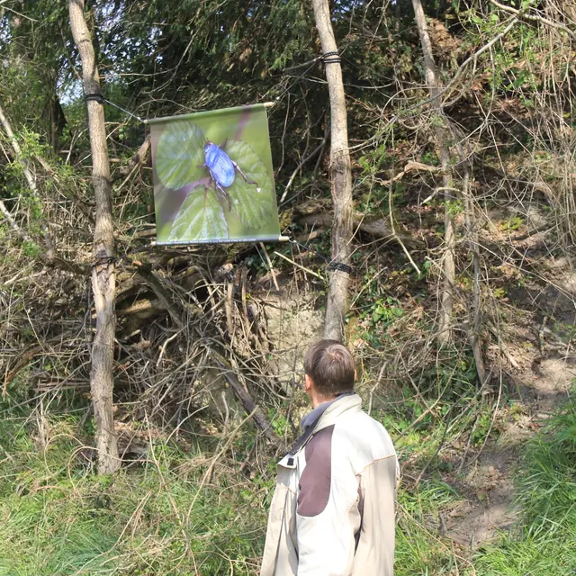 Sentier Expo de Cazes Mondenard