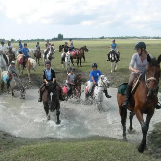 Association du Poney Club Marseille
