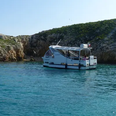 Circuit écologique 2h : la biodiversité des îles de Marseille