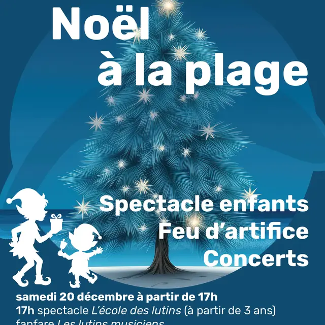 Noël à la plage - Publier