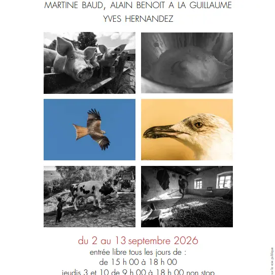 Photographies - Martine Baud, Alain Benoit  A La Guillaume, Yves Hernandez_Ambert