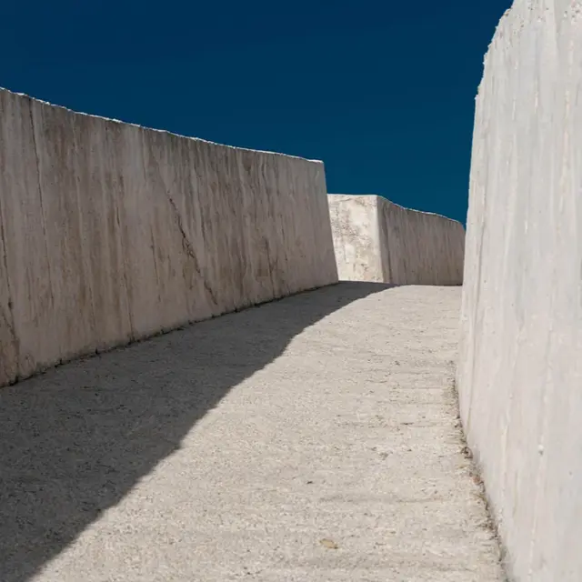 Exposition «Metamorphosis»_Villeneuve-lez-Avignon