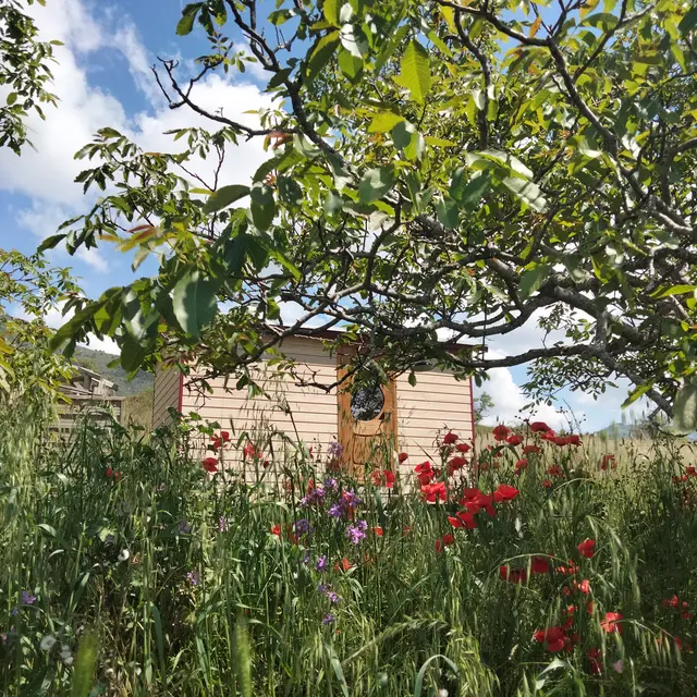 La roulotte au printemps