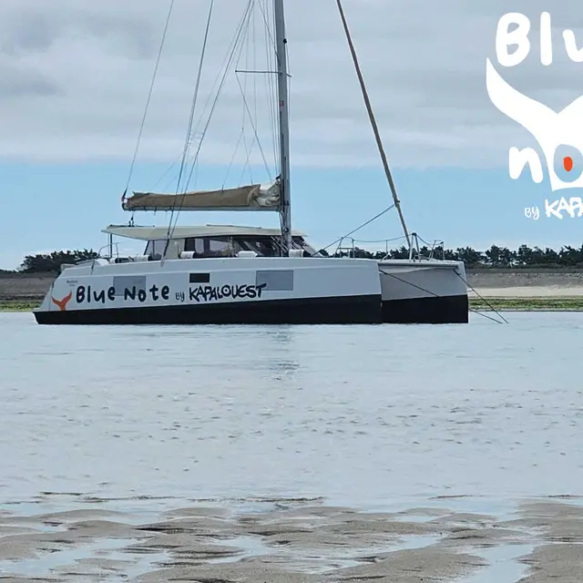 Sortie en mer sur catamaran à voile de 5h par Kapalouest - Blue Note_La Flotte
