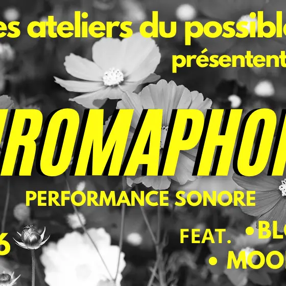 Performance sonore 