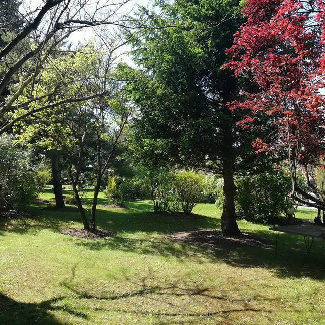 Jardin arboré et paisible