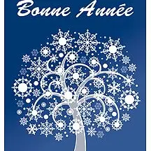Soirée du 1er de l'An_Aiguilles